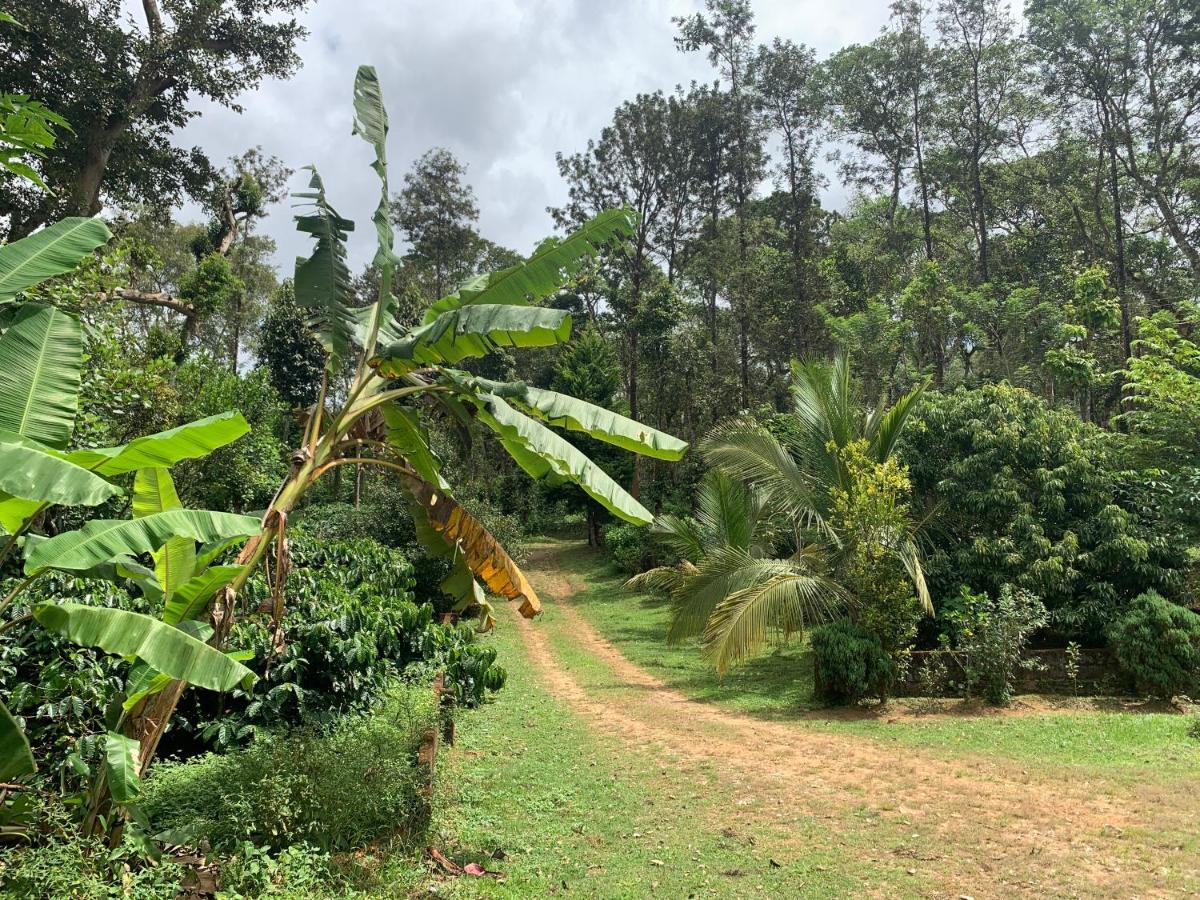 Sandev Homestay Madikeri Extérieur photo