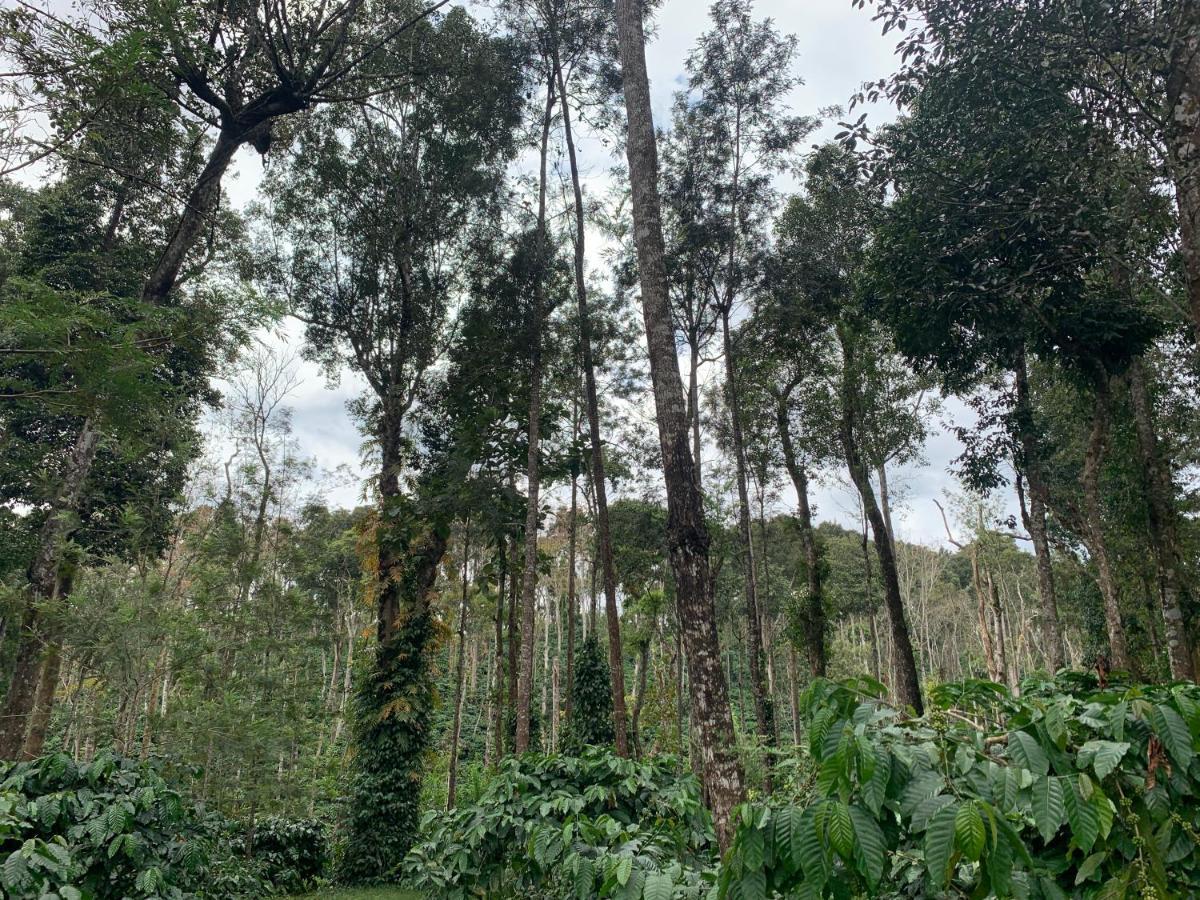 Sandev Homestay Madikeri Extérieur photo