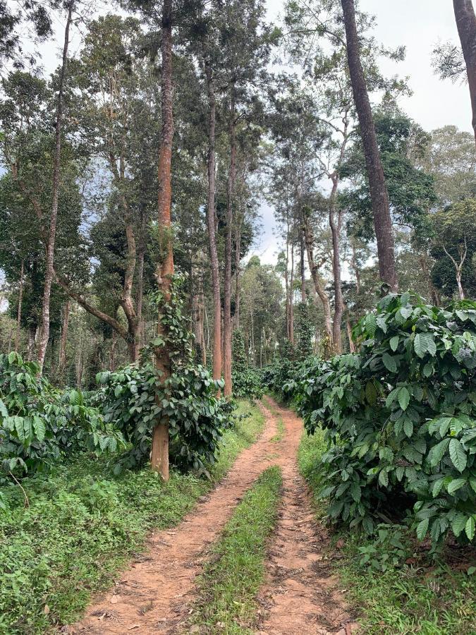 Sandev Homestay Madikeri Extérieur photo