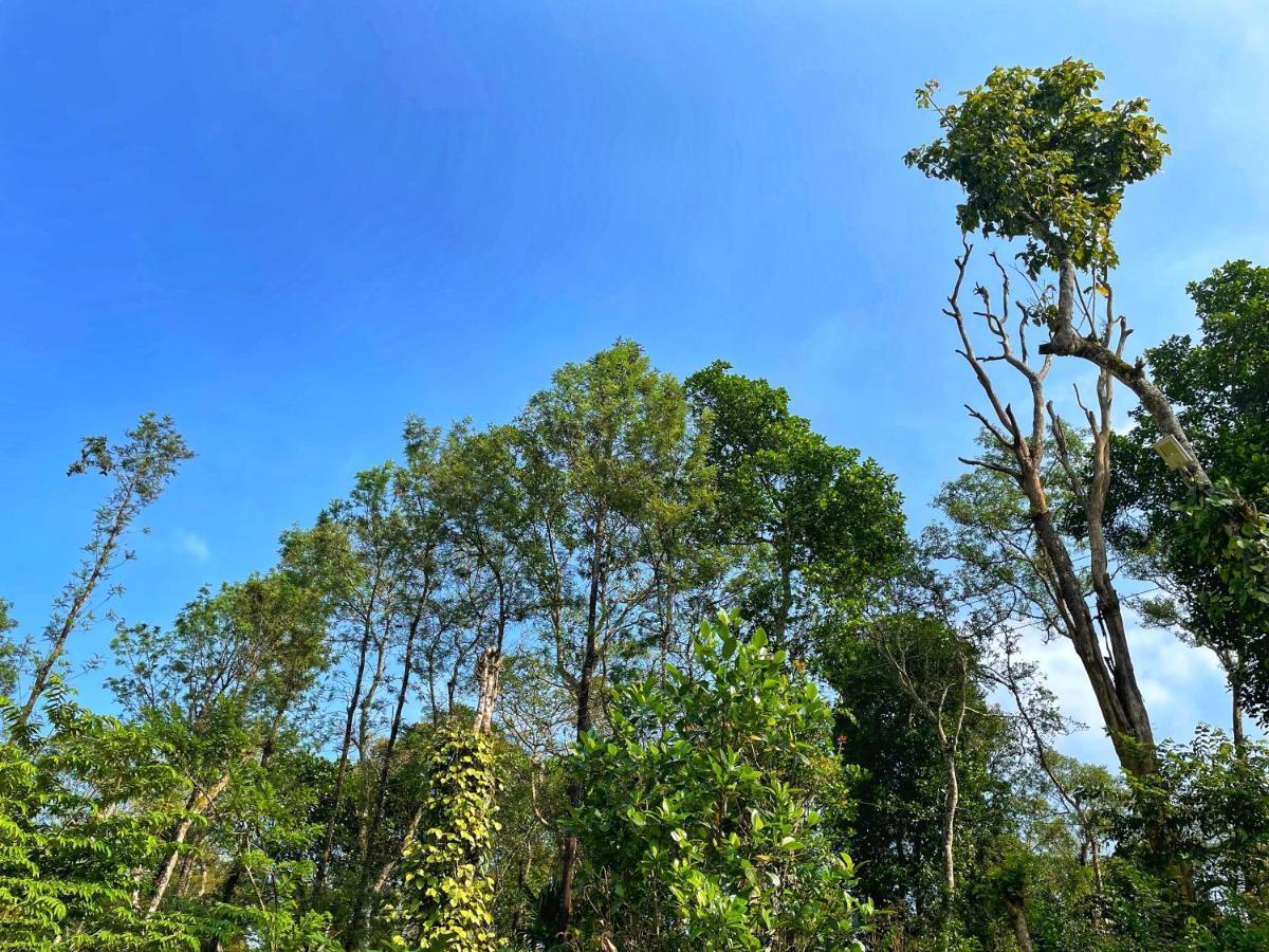 Sandev Homestay Madikeri Extérieur photo