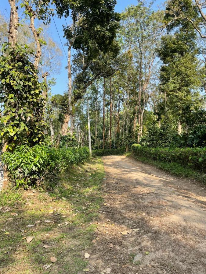 Sandev Homestay Madikeri Extérieur photo