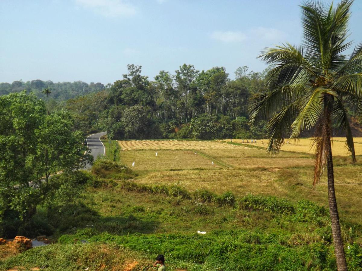 Sandev Homestay Madikeri Extérieur photo
