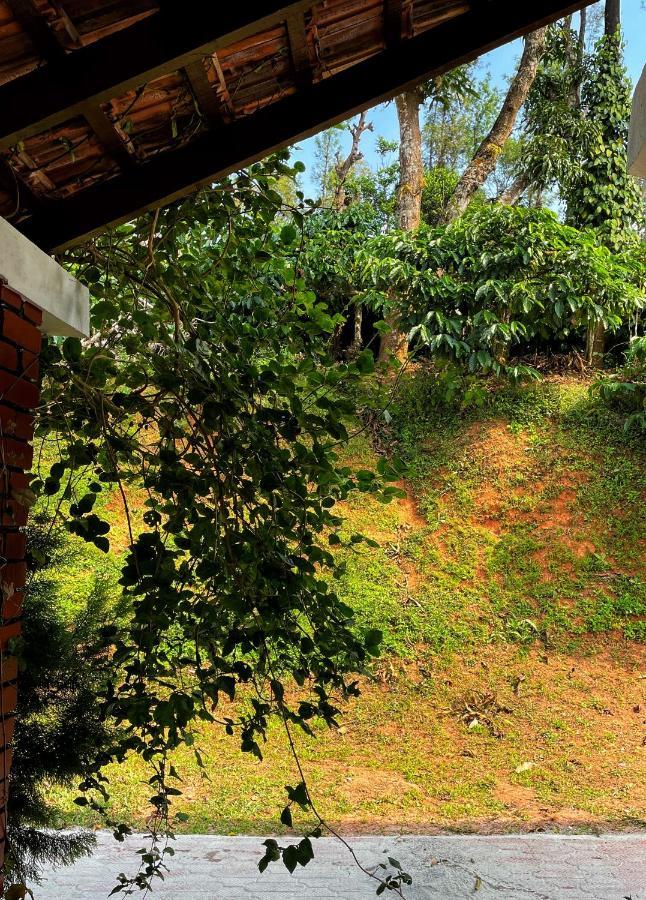 Sandev Homestay Madikeri Extérieur photo